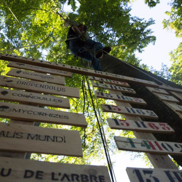Point de supensions – Image 4