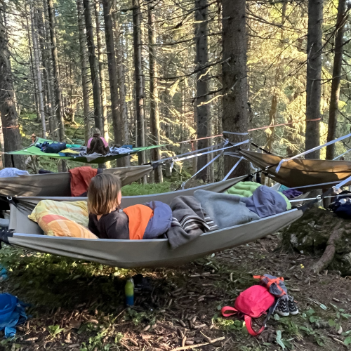 Bivouac dans les arbres